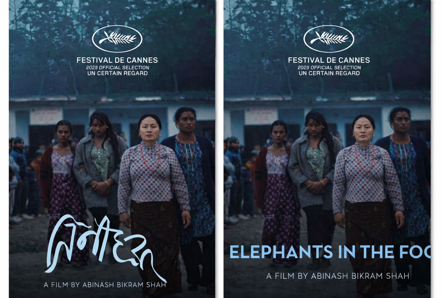  &lsquo;एलिफेन्ट्स् इन द फग्&zwnj;&rsquo; कान्स सिनेमा महोत्सवमा छनोट