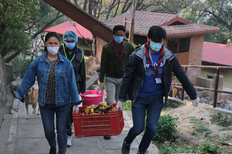 भोकै परेका जनावरलाई खाना खुवाउँदै वर्षा 