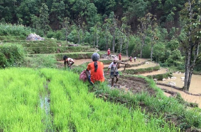 आफुले बाँचेको जिवनमा धुन भर्ने गायक अमृत गुरुङ