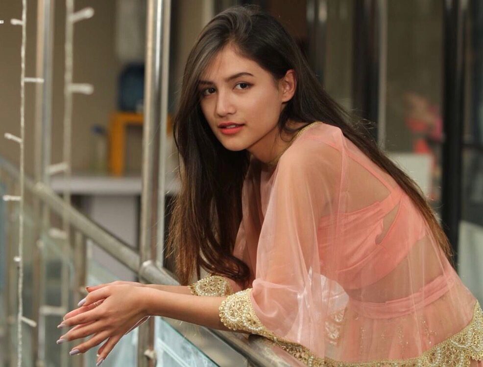 म्युजिक भिडियोले चम्काएको भाग्य , मलिकालाई फिल्मको अफरै अफर  