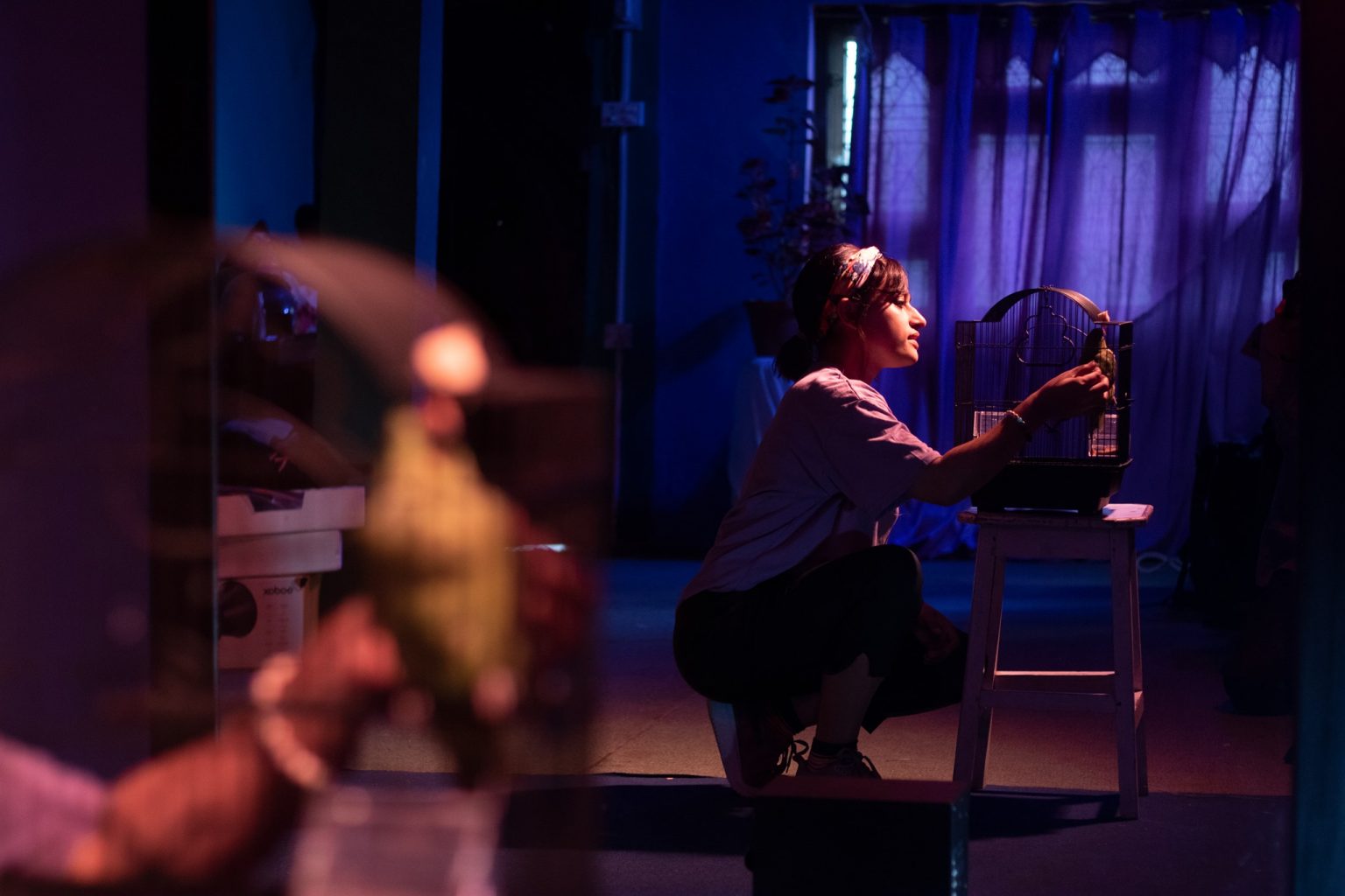 सकियो सुरक्षा अभिनीत 'ग्रिन वर्ड' को छायांकन