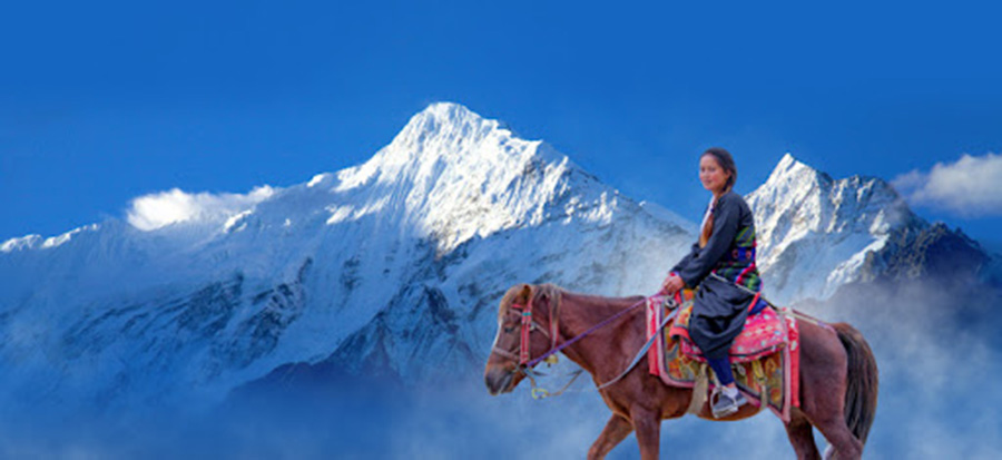 फिल्म &lsquo;चिसो वर्ष&rsquo;ले जित्यो ' मिलिएन डलरको फन्ड