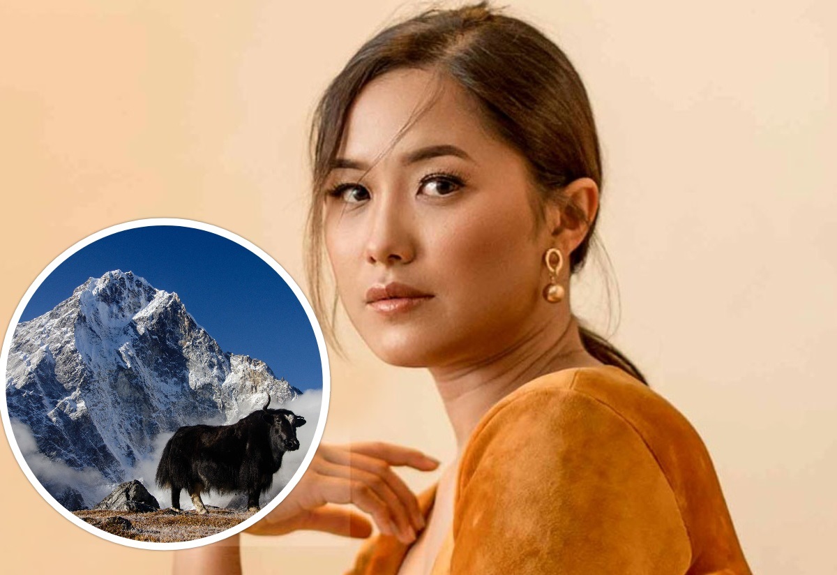 &lsquo;वीर विक्रम&rsquo; नायिका दिया सगरमाथा आरोहण गर्दै  