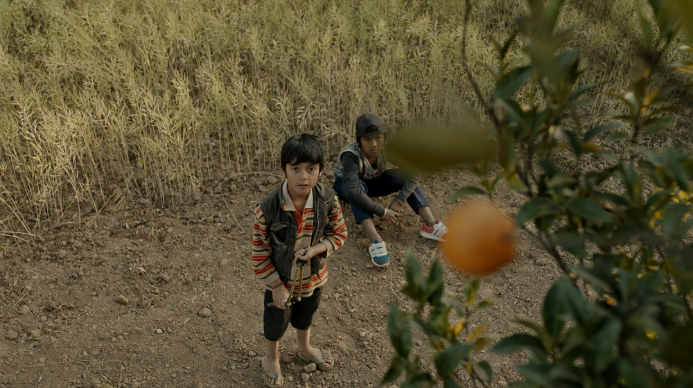 विदेशमा &lsquo;ऐना झ्यालको पुतली&rsquo;को माग उच्च